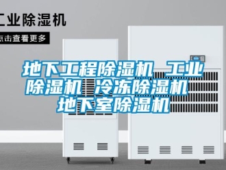 常見問題地下工程除濕機 工業(yè)除濕機 冷凍除濕機 地下室除濕機