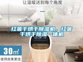 行業(yè)新聞紅薯干烘干除濕機(jī)，紅薯干烘干除濕一體機(jī)