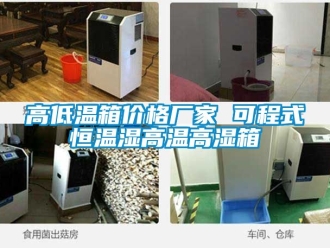 常見問題高低溫箱價(jià)格廠家 可程式恒溫濕高溫高濕箱