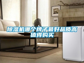 行業(yè)新聞除濕機(jī)哪個(gè)牌子最好品質(zhì)高值得購買