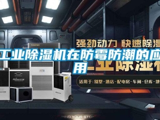 企業(yè)新聞工業(yè)除濕機(jī)在防霉防潮的應(yīng)用