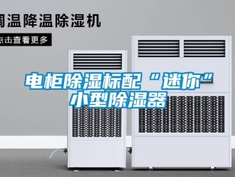 行業(yè)新聞電柜除濕標配“迷你”小型除濕器