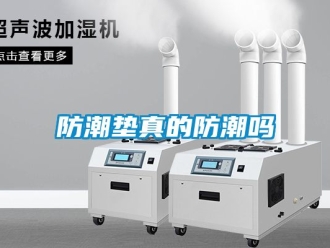常見問題防潮墊真的防潮嗎
