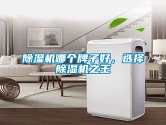 行業(yè)新聞除濕機哪個牌子好，選擇除濕機之王