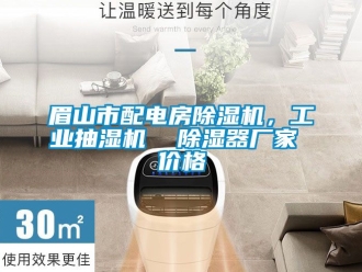 企業(yè)新聞眉山市配電房除濕機(jī)，工業(yè)抽濕機(jī)  除濕器廠家 價(jià)格