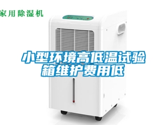 常見問題小型環(huán)境高低溫試驗箱維護費用低