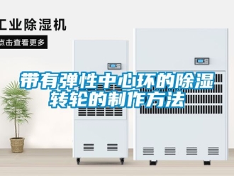 常見問題帶有彈性中心環(huán)的除濕轉(zhuǎn)輪的制作方法