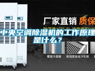 行業(yè)新聞中央空調(diào)除濕機的工作原理是什么？