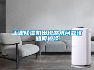 常見(jiàn)問(wèn)題工業(yè)除濕機(jī)出現(xiàn)漏水問(wèn)題該如何檢修