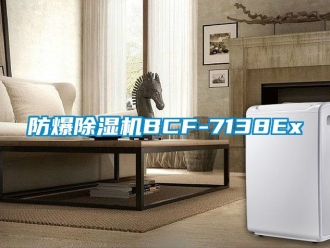 企業(yè)新聞防爆除濕機BCF-7138Ex