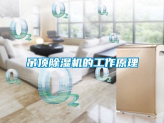 企業(yè)新聞吊頂除濕機的工作原理