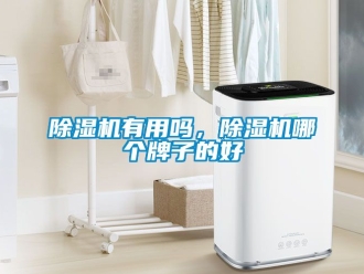 行業(yè)新聞除濕機(jī)有用嗎，除濕機(jī)哪個(gè)牌子的好