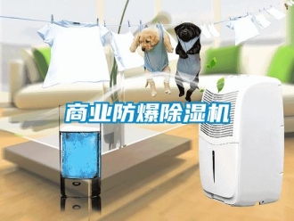 知識(shí)百科商業(yè)防爆除濕機(jī)