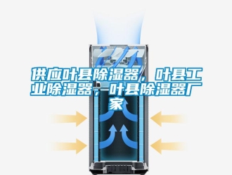 行業(yè)新聞供應(yīng)葉縣除濕器，葉縣工業(yè)除濕器，葉縣除濕器廠家
