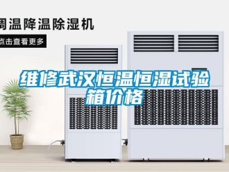 知識(shí)百科維修武漢恒溫恒濕試驗(yàn)箱價(jià)格