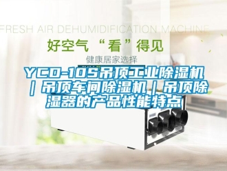 常見問題YCD-10S吊頂工業(yè)除濕機｜吊頂車間除濕機｜吊頂除濕器的產(chǎn)品性能特點