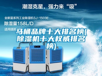 企業(yè)新聞馬桶品牌十大排名榜(除濕機十大權(quán)威排名榜)