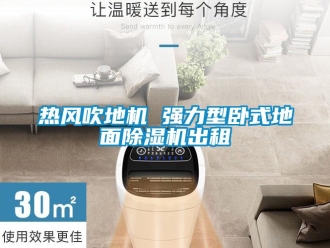 行業(yè)新聞熱風(fēng)吹地機 強力型臥式地面除濕機出租