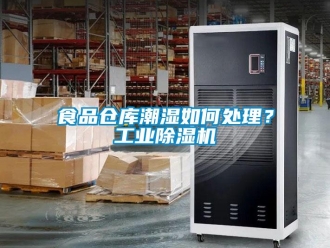 常見問題食品倉庫潮濕如何處理？工業(yè)除濕機