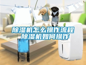 行業(yè)新聞除濕機怎么操作流程 除濕機如何操作