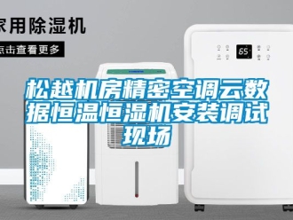 知識百科松越機房精密空調(diào)云數(shù)據(jù)恒溫恒濕機安裝調(diào)試現(xiàn)場