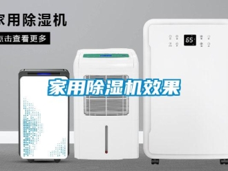 行業(yè)新聞家用除濕機效果