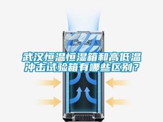 知識(shí)百科武漢恒溫恒濕箱和高低溫沖擊試驗(yàn)箱有哪些區(qū)別？