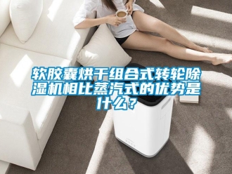 行業(yè)新聞軟膠囊烘干組合式轉(zhuǎn)輪除濕機相比蒸汽式的優(yōu)勢是什么？