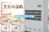 如何選購除濕機(jī)