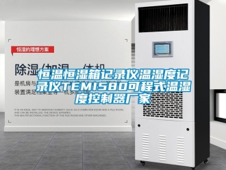 知識百科恒溫恒濕箱記錄儀溫濕度記錄儀TEMI580可程式溫濕度控制器廠家