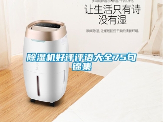 行業(yè)新聞除濕機(jī)好評評語大全75句錦集