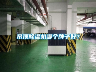 企業(yè)新聞吊頂除濕機(jī)哪個(gè)牌子好？