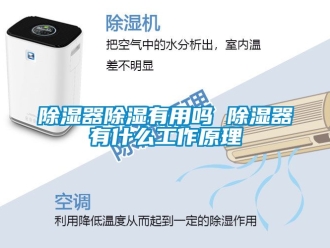 行業(yè)新聞除濕器除濕有用嗎 除濕器有什么工作原理