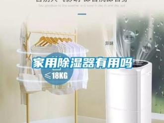 行業(yè)新聞家用除濕器有用嗎