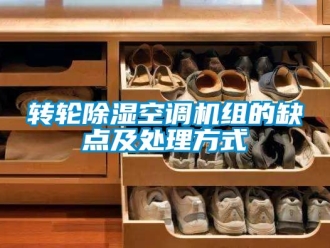 常見問題轉(zhuǎn)輪除濕空調(diào)機組的缺點及處理方式