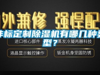 行業(yè)新聞非標定制除濕機有哪幾種類型？