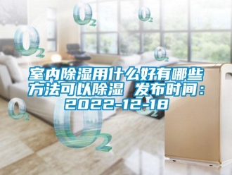 企業(yè)新聞室內(nèi)除濕用什么好有哪些方法可以除濕 發(fā)布時間：2022-12-18