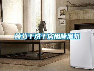 行業(yè)新聞葡萄干烘干房用除濕機