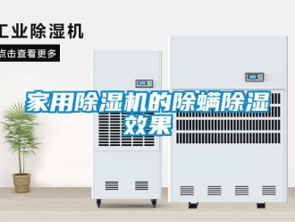 行業(yè)新聞家用除濕機(jī)的除螨除濕效果