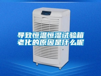 知識百科導(dǎo)致恒溫恒濕試驗(yàn)箱老化的原因是什么呢