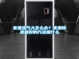 企業(yè)新聞家里濕氣大怎么辦？家里除濕最好的方法是什么