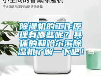 企業(yè)新聞除濕機(jī)的工作原理有哪些呢？具體的和哈爾濱除濕機(jī)了解一下吧！