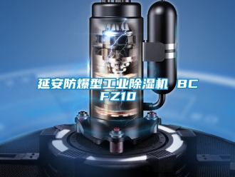 企業(yè)新聞延安防爆型工業(yè)除濕機(jī) BCFZ10