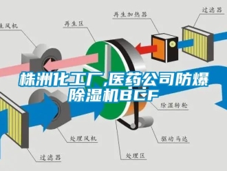 企業(yè)新聞株洲化工廠,醫(yī)藥公司防爆除濕機(jī)BCF