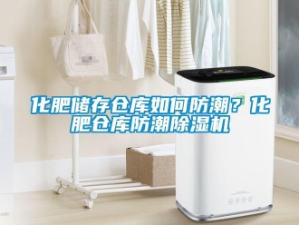 常見問題化肥儲存?zhèn)}庫如何防潮？化肥倉庫防潮除濕機(jī)