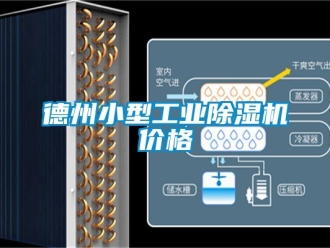 常見問題德州小型工業(yè)除濕機價格