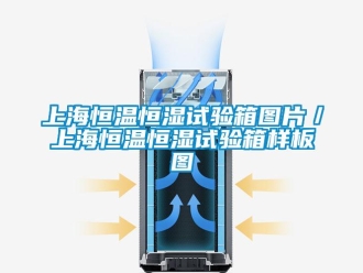 知識(shí)百科上海恒溫恒濕試驗(yàn)箱圖片／上海恒溫恒濕試驗(yàn)箱樣板圖