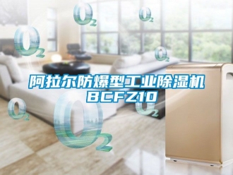 企業(yè)新聞阿拉爾防爆型工業(yè)除濕機(jī) BCFZ10