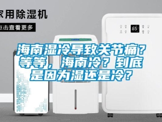 行業(yè)新聞海南濕冷導(dǎo)致關(guān)節(jié)痛？等等，海南冷？到底是因為濕還是冷？