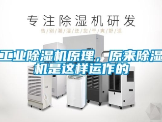 企業(yè)新聞工業(yè)除濕機(jī)原理，原來除濕機(jī)是這樣運(yùn)作的